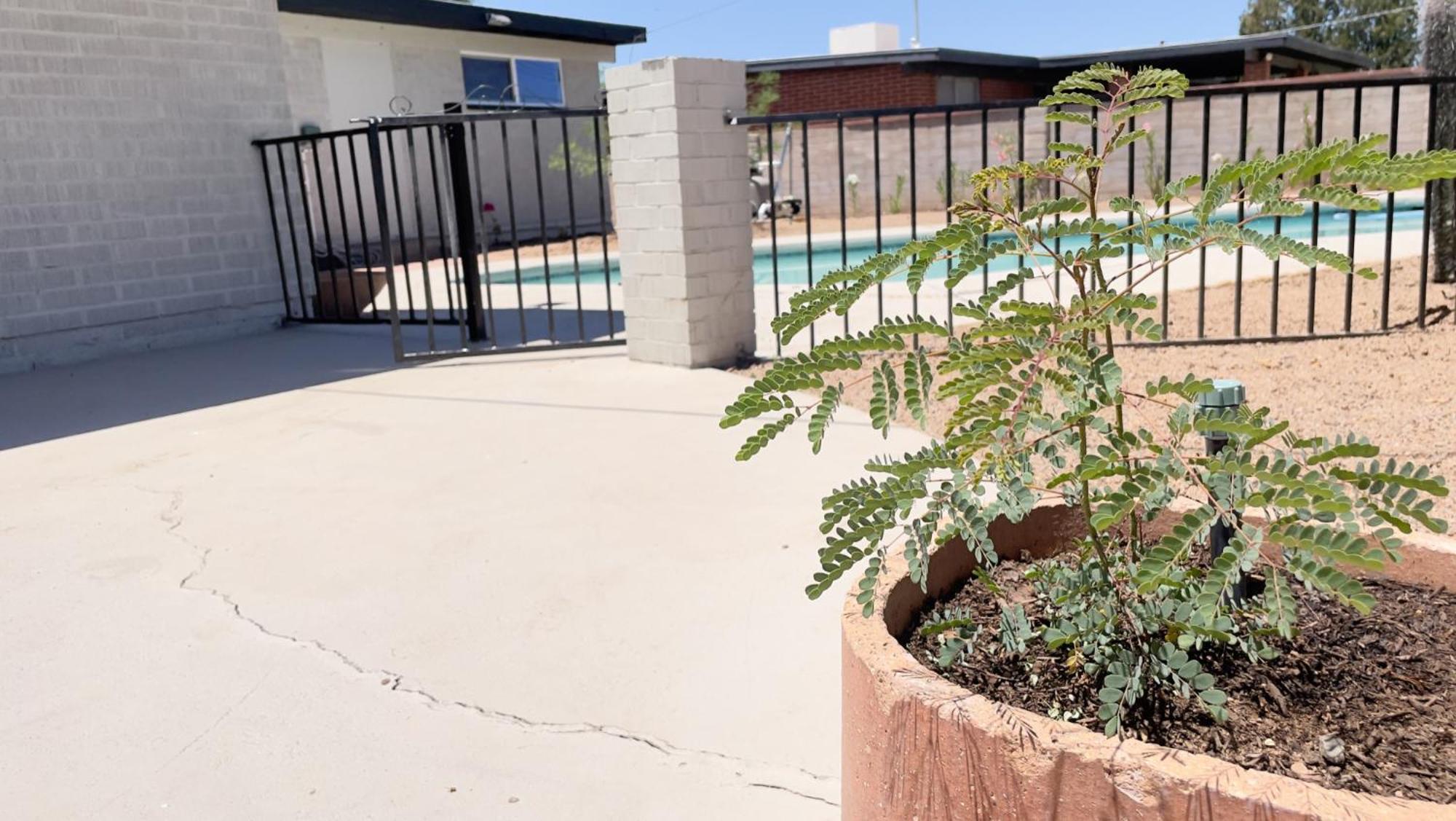 Private Home - Heated Pool, Billiards, Darts, Foosball, Fireplace, 5 Smart Tvs, Bbq, Cotton Bedding - The Saguaro Sanctuary, Pool Heat Optional Tucson Bagian luar foto